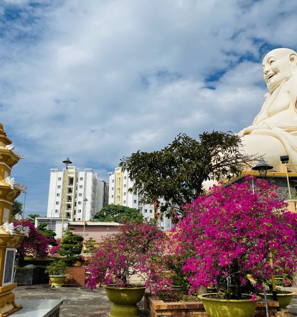 Tour Du Lịch Miền Tây Mỹ Tho Bến Tre 1 ngày