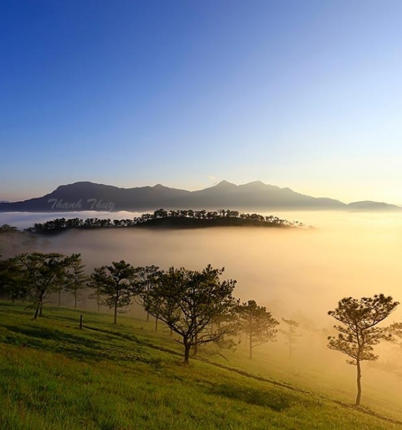 Tour Du Lịch Đà Lạt Nha Trang 4 ngày 3 đêm